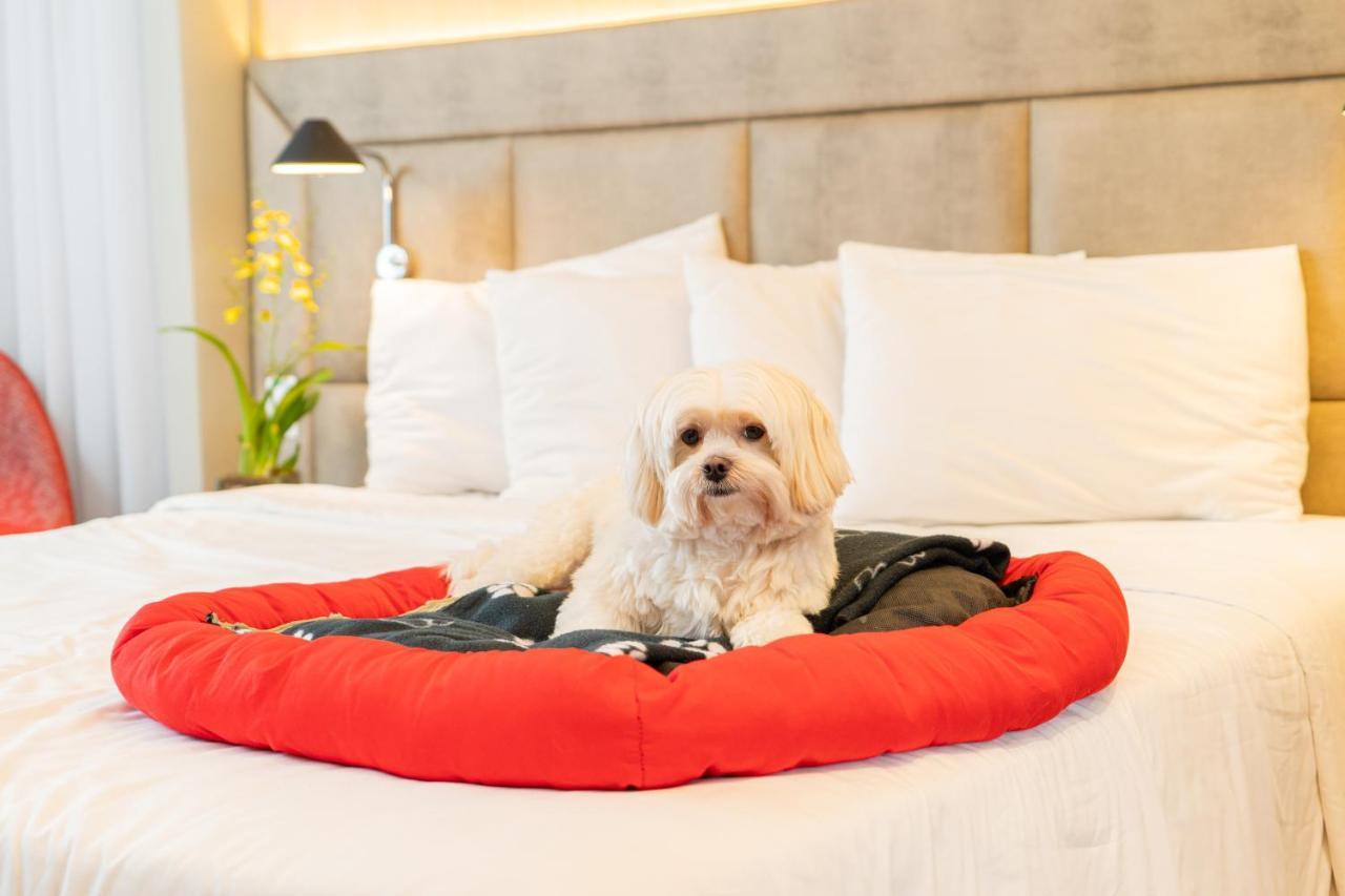 Hotel Mercure Jardins São Paulo